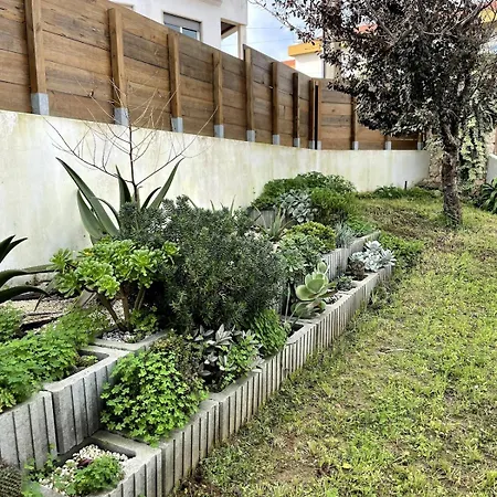 Spacious In Sunny Minutes To * Lourinha (Lisbon)