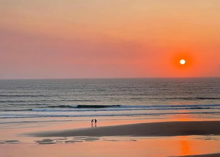 Spacious In Sunny Minutes To *